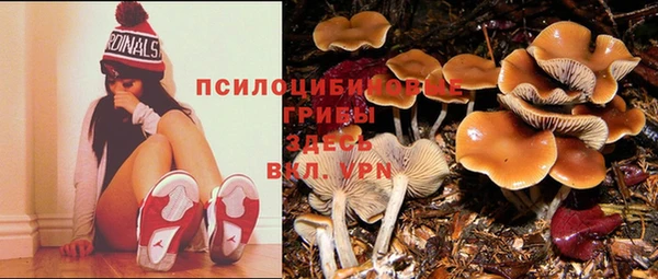 круглые Алзамай