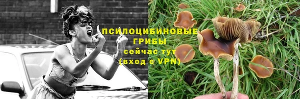 круглые Алзамай