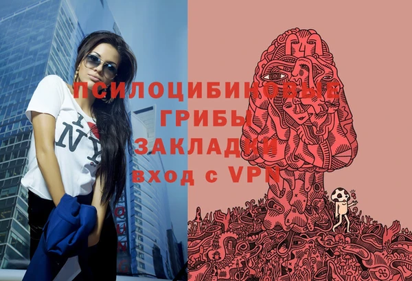 круглые Алзамай