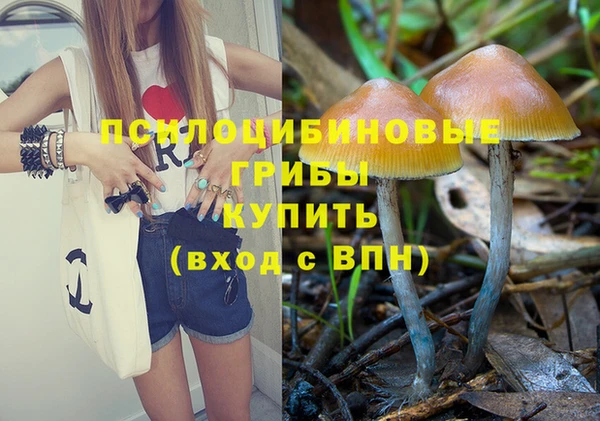 круглые Алзамай